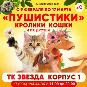 «Пушистики" - выставка кроликов, кошек и их друзей!
