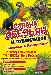 Выставка обезьян и пушистиков с 1 ноября по 4 декабря    ТК «Звезда» Мегамебель